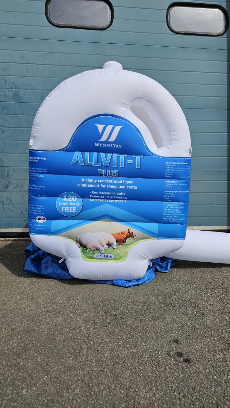 Advertising Inflatable. Helium Inflatable. Inflatable Marketing. Ariel Marketing. Outdoor Inflatable. Sealed Air Inflatable. Custom Shaped Inflatable.