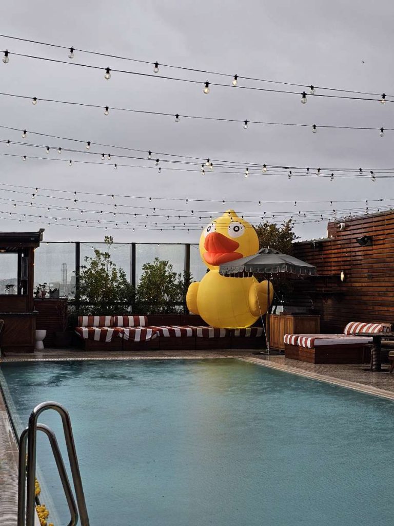 Inflatable Duck. Inflatable Character. Character Inflatable. Duck Inflatable. Hire Inflatable. Inflatable to Hire.