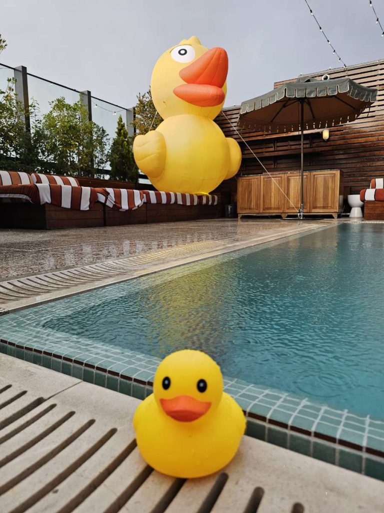 Inflatable Duck. Inflatable Character. Character Inflatable. Duck Inflatable. Hire Inflatable. Inflatable to Hire.