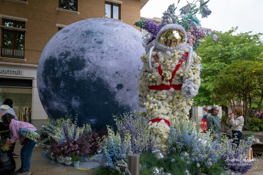 Inflatable Planet. Inflatable Moon. Moon Replica. Sealed Air Inflatable. Constant Air Inflatable. Display Inflatable. Exhibition Balloon. Exhibition Inflatable. Giant Moon. Large Inflatable Moon. Chelsea Flower Show.